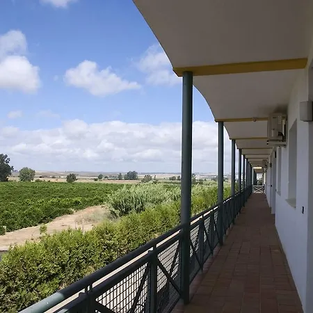 Hotel Jm Jardin De La Reina 3*
